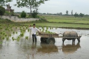 2998715551_8a966b3501