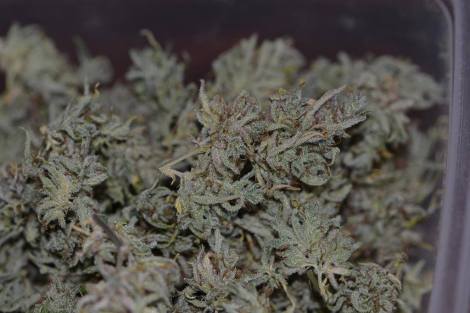 13041316_1195967667087512_822368127032539683_o